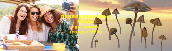 ПСИЛОЦИБИНОВЫЕ ГРИБЫ Абинск