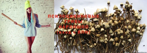 марихуана Алзамай
